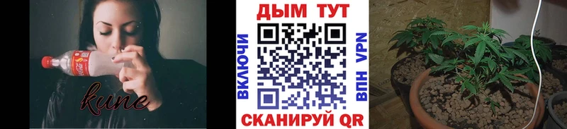 Где купить наркоту Курганинск Alpha-PVP АМФ блэк спрут рабочий сайт Кетамин Гашиш Каннабис