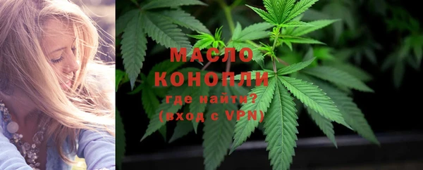 молекула духа Осинники
