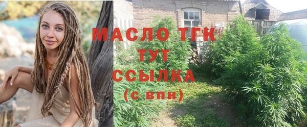 молекула духа Осинники