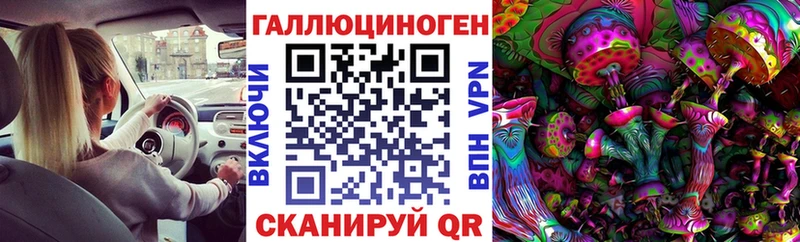 магазин  наркотиков  Курганинск  Галлюциногенные грибы мицелий 