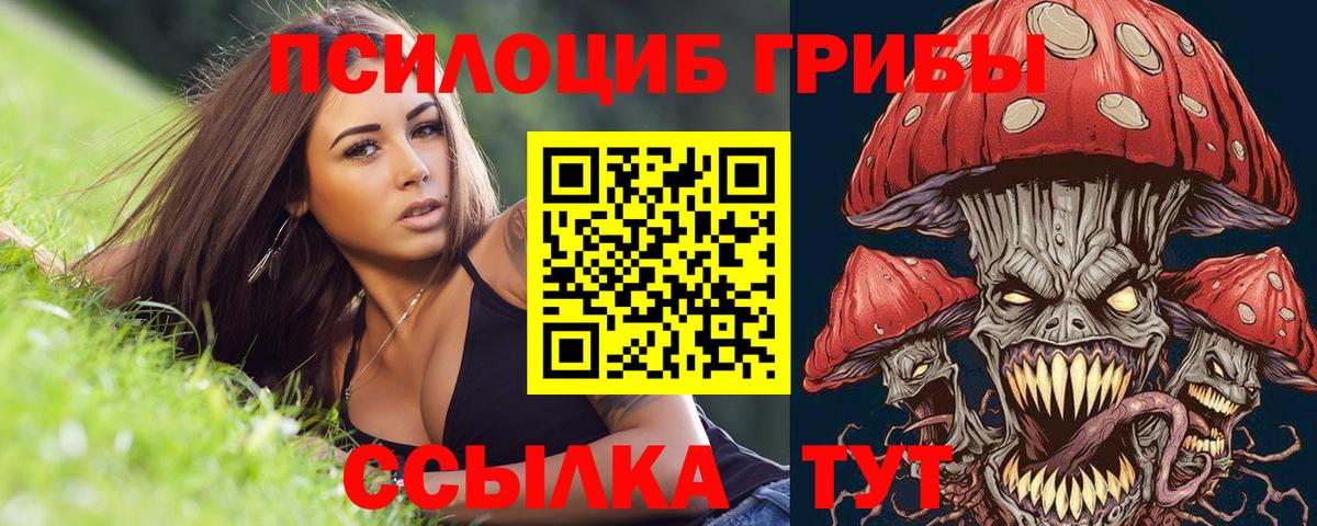 где можно купить   Курганинск  Галлюциногенные грибы прущие грибы 