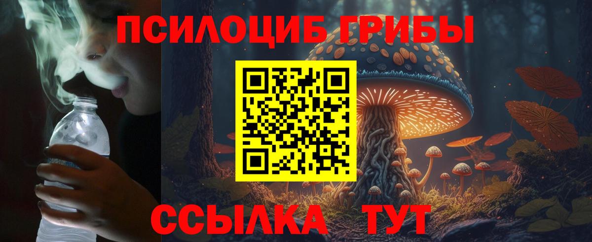 как найти   Псилоцибиновые грибы Psilocybe  Псилоцибиновые грибы ЛСД  Вход с VPN  Курганинск 